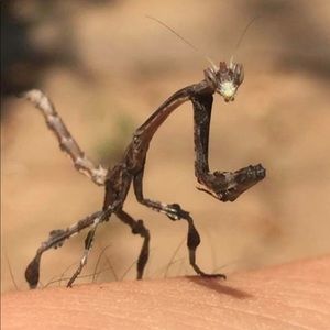 Meet your Posher, Aaron